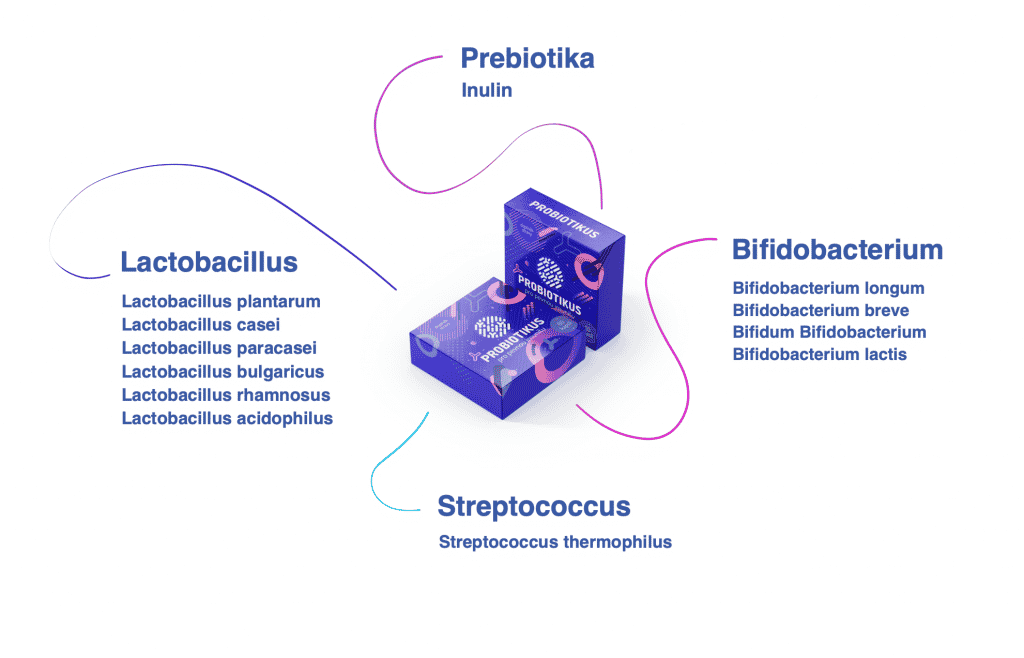 Schéma složení Probiotikus