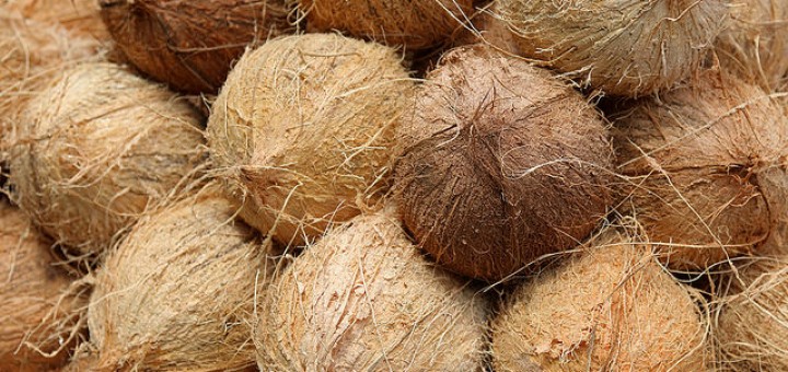 Bio kokosový olej